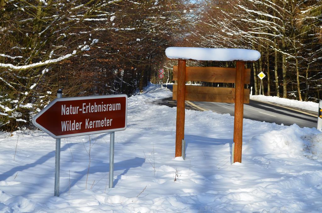 Ferienhaus Wildblick シュライデン エクステリア 写真